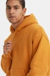 Худі утеплене оверсайз чоловіче Levi's skate hoodie A10080005 XS Гірчичний (5401128144198) - изображение 4
