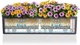 Вазон Lechuza Balconera Color 100 99 x 19 x 19 см Белый (15919-4008789159199) - изображение 5