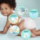 Подгузники Pampers Premium Care Размер 5 (11-16 кг) 148 шт (8006540855973) - изображение 5
