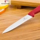 Нож для обработки овощей Victorinox SwissClassic Paring 222 см красный модель Vx67731 - изображение 3