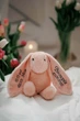 Іменний м'який зайка Little BU рожевий 28 см HeyBaby - зображення 6
