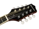Мандоліна Richwood RMA-60-VS - изображение 3