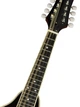 Мандоліна Richwood RMA-60-VS - изображение 7