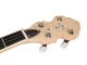 Банджо Richwood RMB-1405-LN - изображение 4