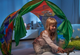 Дитячий намет тент для сну Dream Tents Динозаври - зображення 2