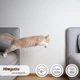 Сухой корм для стерилизованных кошек Morando Miogatto Sterilised со свежей курицей 10 кг (8007520086127) - изображение 4