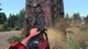 Ключ активації Lumberjack's Dynasty для Xbox One/Series - зображення 2