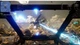Ключ активации MechWarrior 5: Mercenaries для Xbox One/Series - изображение 9