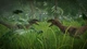 Ключ активации Jurassic World Evolution для Xbox One/Series - изображение 13