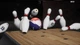 Ключ активации PBA Pro Bowling 2021 для Xbox One/Series - изображение 10