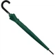 Парасолька Semi Line Green (2512-6) (DAS303082) - зображення 3