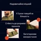 Водонепроницаемый термоплащ - дождевик для аварийных ситуаций Sanke Rescue аварийное спасательное пончо для кемпинга One Size, зеленый (102140876) - изображение 7