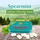 Жевательная резинка Barkleys Sugar Free Gum Spearmint 30г - изображение 7