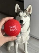 Игрушка для собак WAUDOG Fun Red Ball (6001) - изображение 6