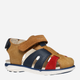 Дитячі шкіряні сандалії для хлопчика Geox B Sandal Delhi Boy B354LA0CL22-C6146 24 Коричневі (8058192264184) - зображення 2