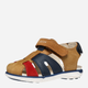 Дитячі шкіряні сандалії для хлопчика Geox B Sandal Delhi Boy B354LA0CL22-C6146 27 Коричневі (8058192264214) - зображення 5