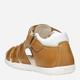 Дитячі шкіряні сандалії для хлопчика Geox B Sandal Macchia Boy B254VA0CL54-CT61Z 21 Коричневі (8058192180064) - зображення 6
