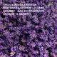 Крем-гель для душа Weleda Relax Lavender Shower Cream 400 мл (7611916164583) - изображение 3