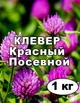 Насіння Конюшина червоний (магнічений) від 1 кг (на вагу) - зображення 1