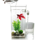 Акваріум самоочисний 2л, з LED підсвічуванням, My Fun Fish (L) - изображение 2