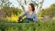 Аккумуляторный кусторез Bosch UniversalHedgeCut 18V-50, акб 2.5 Ah, з/у (0600849K01) - изображение 4