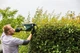 Кущоріз Bosch AdvancedHedgeCut 70 (06008C0903) - зображення 3