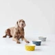 Миска для собак Hunter Bowl Ceramic Eiby Grey 1100 мл (4016739686589) - зображення 7