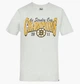 Футболка 47 Brand Nhl Boston Bruins Backer White 619888CK-FS L - изображение 1