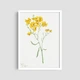 Постер Roomy "Yellow Blooms" Белая рамка с глянцевым стеклом A4 (29.7x21 cm) - изображение 2