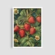 Постер Roomy "Strawberry" Без рамки A4 (29.7x21 cm) - зображення 5
