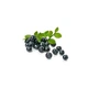 Ягодная паста LiQberry Черника 1 л - изображение 2