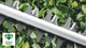 Кущоріз Bosch UniversalHedgeCut 50 (06008C0501) - зображення 8