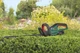 Аккумуляторный бесщеточный кусторез Bosch UniversalHedgeCut 18V-50 + 1 аккумулятор PBA 18 В 2.5 Ач + зарядное устройство AL 1830 CV (0600849K01) - изображение 6