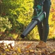 Аккумуляторная воздуходувка Bosch AdvancedLeafBlower 36V-750 (solo) (06008C6001) - изображение 8