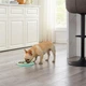 Миска для собак Outward Hound Fun Feeder Slow Tray Mint Large 1500 мл (0700603706476) - изображение 7