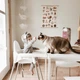 Стілець для годування зі стільницею ANTILOP IKEA 290.672.93 білий/срібний - изображение 5