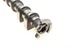 Розподільний вал Opel Astra J/Insignia A/Zafira 1.6/1.8 08- випуск 428 0178 10 INA - изображение 4