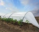 Парник, теплиця з агроволокна 5 м. 60/м² MAKSIAGRO - изображение 5