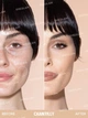 Консилер для лица Perfect Skin High Coverage Concealer, Chantilly, 4.5 G - изображение 2