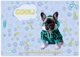 Набор альбомов для рисования YES Dogs на скобе с перфорацией А4 100 г/м² 20 листов х 4 шт (130603) (4823092289384) - изображение 7