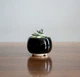 Керамический вазон для цветов Mini Plant размер XS 4,6х5см Круглый Черный - изображение 1