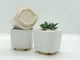 Керамический горшок для цветов Mini Plant размер XS 5,2х5,1см Квадратный Белый - изображение 2