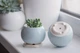 Керамический горшок для суккулентов Mini Plant маленького размера 6,2х6,3см Круглый Голубой - изображение 2