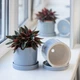 Керамический горшок для растений Mini Plant 9х11,5см Цилиндр Серый - изображение 1