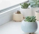 Керамический горшок для суккулентов Mini Plant маленького размера 6,2х6,3см Круглый Голубой - изображение 3