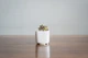 Керамический горшок для цветов Mini Plant размер XS 5,2х5,1см Квадратный Белый - изображение 5