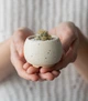 Керамический горшок для цветов Mini Plant размер XS 4,6х5см Круглый Бежевый в крапинку - изображение 3