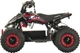 Квадроцикл аккумуляторный Forte ATV800NE Красный (BP119394) - изображение 2