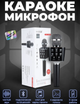 Мікрофон для караоке бездротовий bluetooth WSTER WS-1688 Black 5 видів голосу - изображение 3
