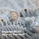 Очиститель воздуха PHILIPS PureProtect Mini Серия 900 AC0951/13 - изображение 2
